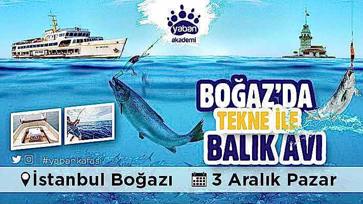 Boğaz'da Tekne ile Balık Avı-3 Aralık 2017, Pazar