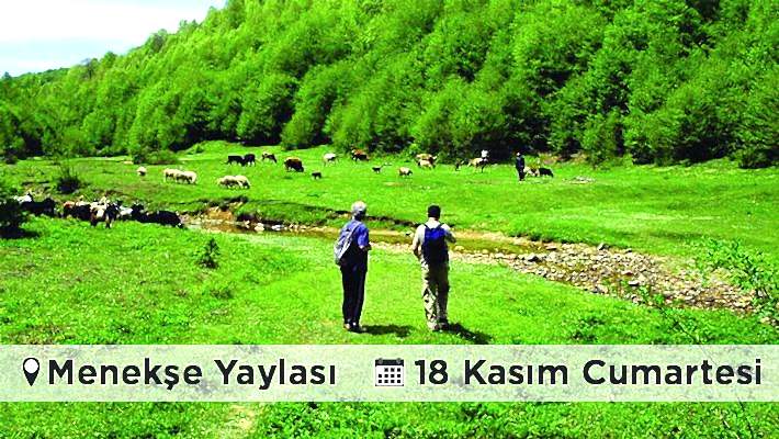 Menekşe Yaylası Doğa Yürüyüşü - İZMİT-18 Kasım 2017, Cumartesi