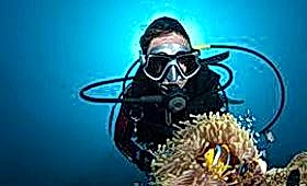 Okçulukta ''Hedef Paniği / Sarı Hastalığına'' Çözüm