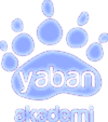 Yaban Akademi