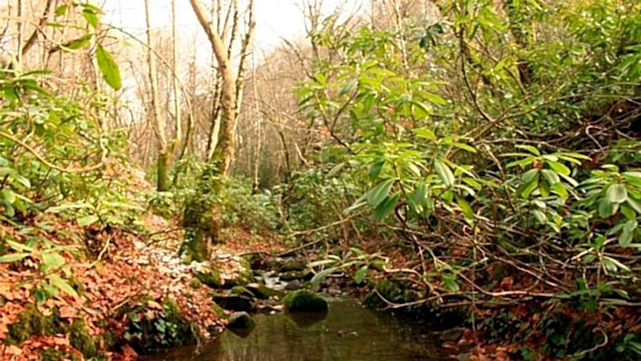 Alihocalar - Karagöllü