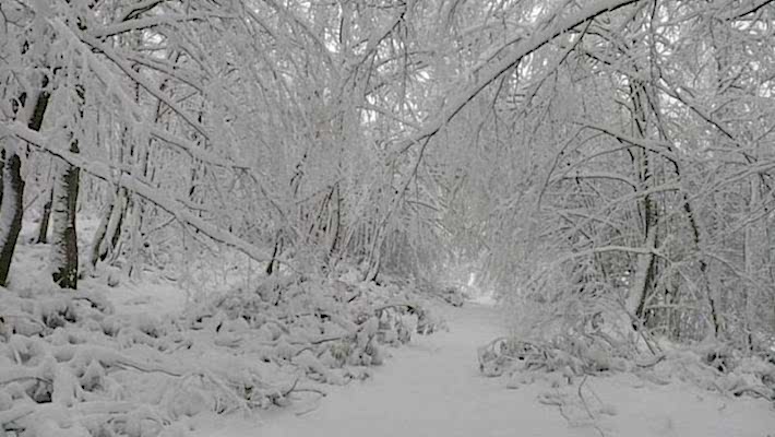 Aytepe - Servetiye - Karaarslan