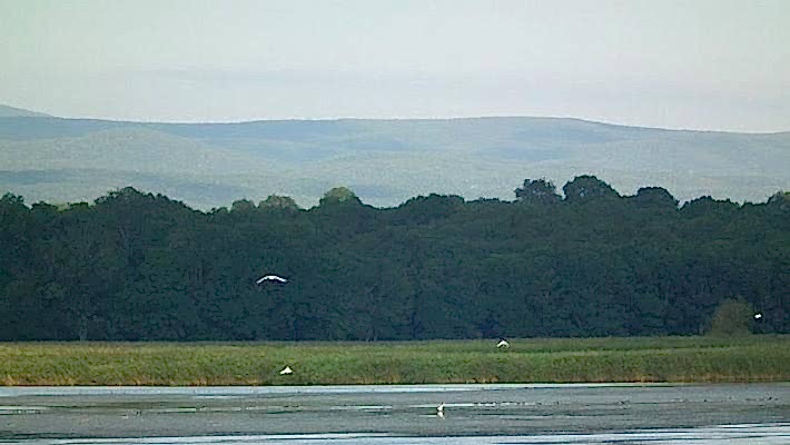 Hamam Gölü - Mert Gölü
