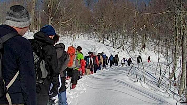 Kartepe - Eğreltidüzü - Kartepe