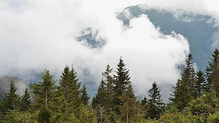 Soğucak - Kuzuyayla