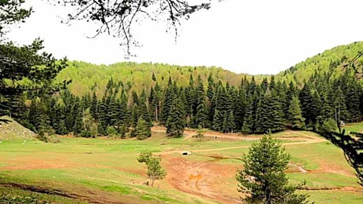 Sultaniye - Altıoluk Yaylası - Sultaniye