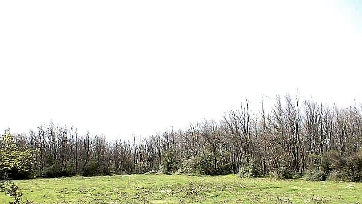 Yağcılar - Elbizli