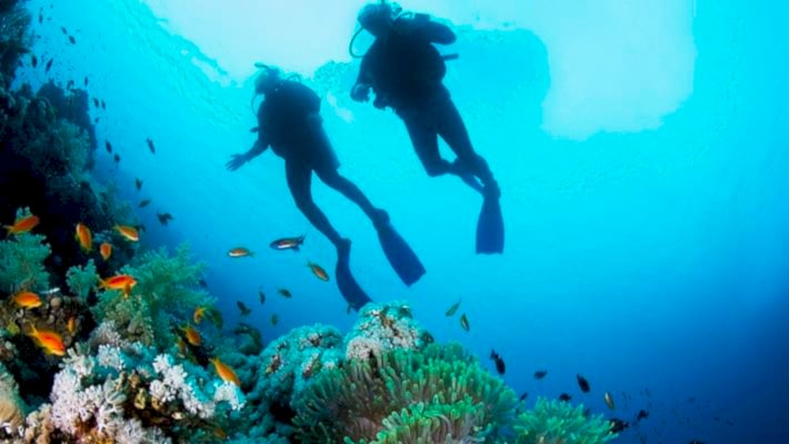 CMAS Dalıcı Eğitimi