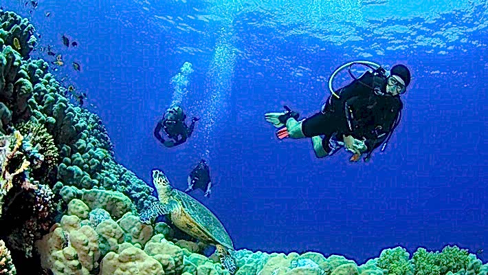 PADİ Dalıcı Eğitimi